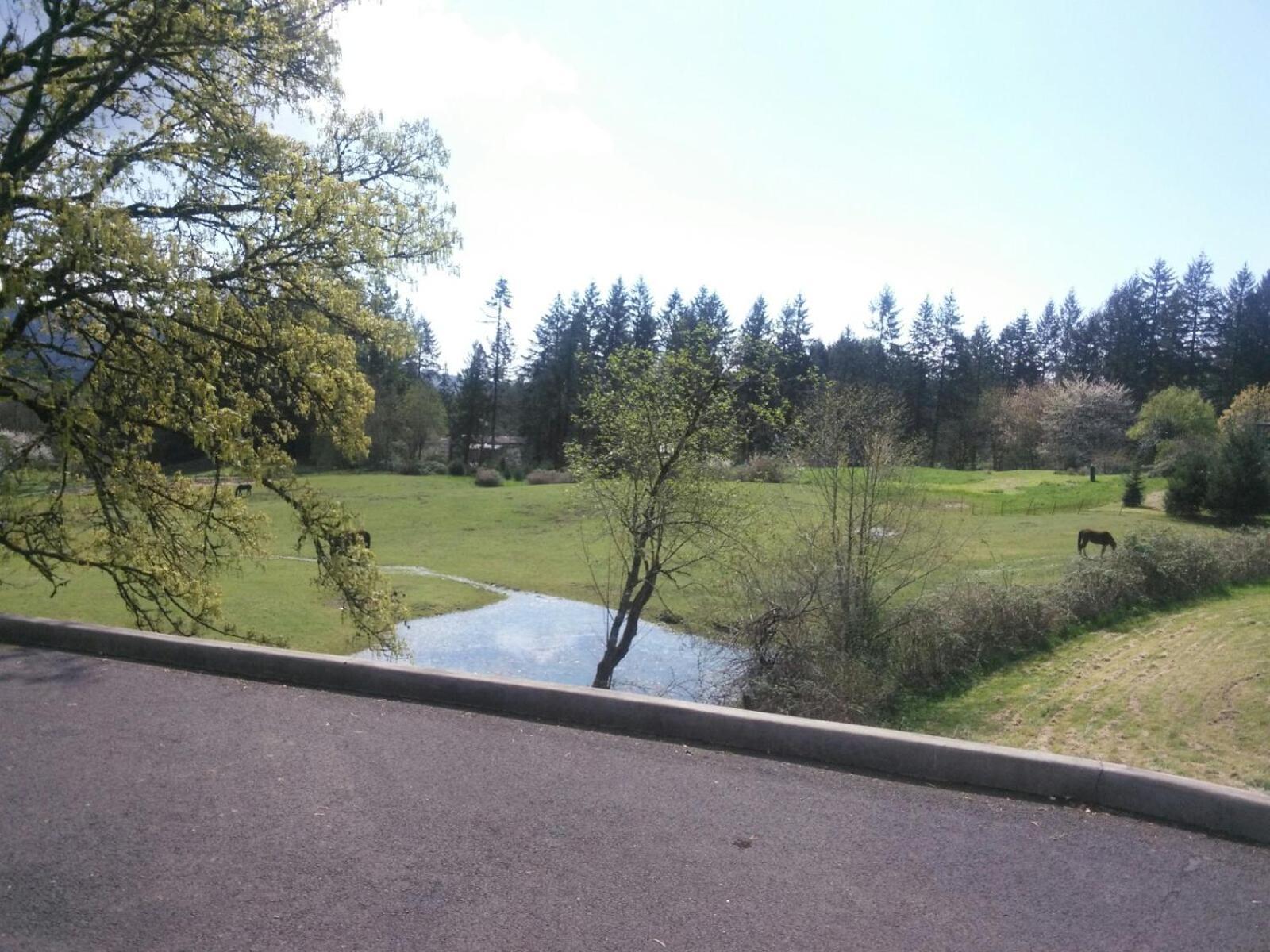 Vancouver Wa Beautiful Apartment Woodland Exteriör bild