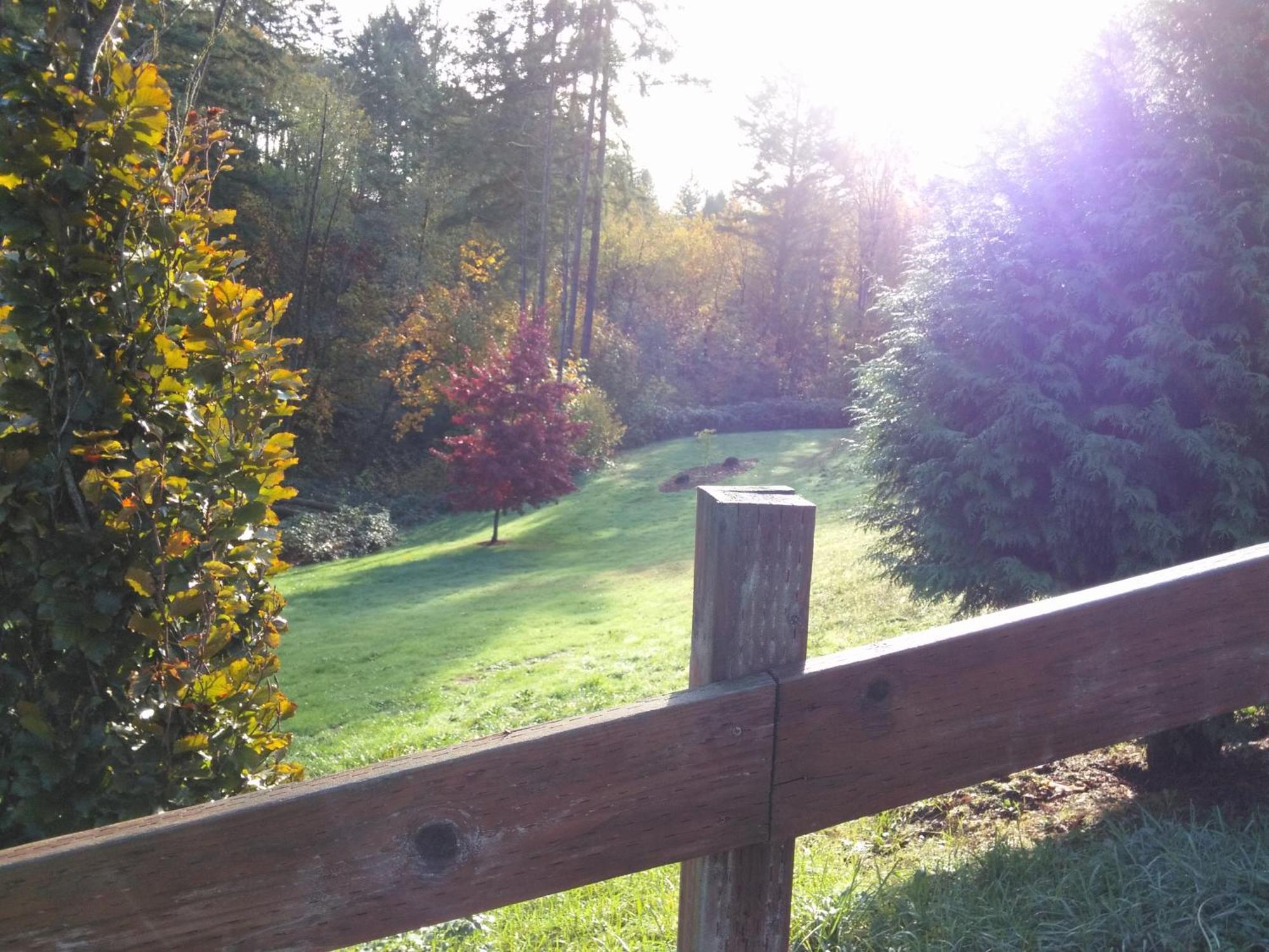Vancouver Wa Beautiful Apartment Woodland Exteriör bild